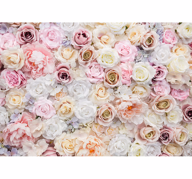 Beautiful background of roses wall mural - TenStickers