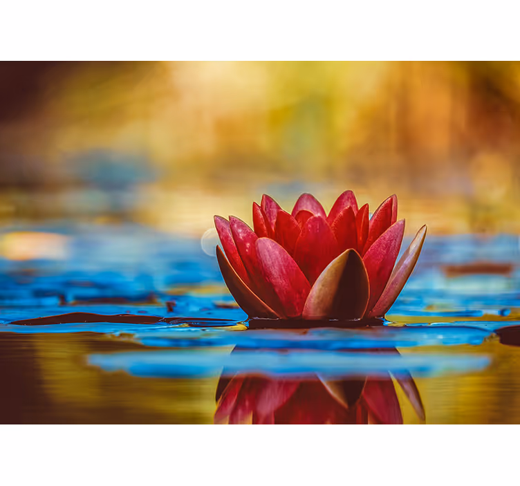 Magnolia wall mural graceful water lily - TenStickers