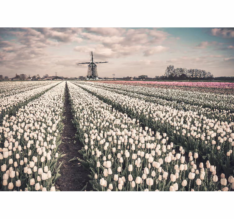 Tulip field scenery flower wall mural - TenStickers
