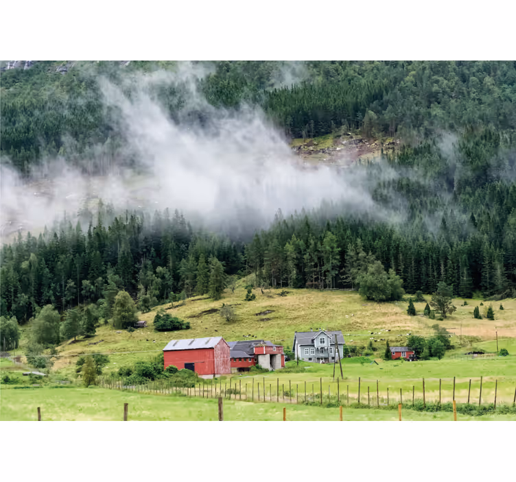 Norwegian forest wall mural nature - TenStickers