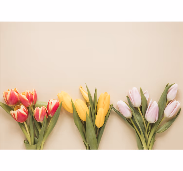 Flower wall mural colorful tulip arrangement - TenStickers