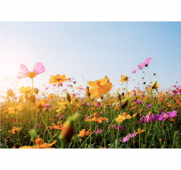 Flower wall mural colorful blooming flora - TenStickers