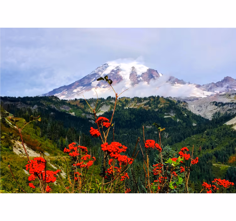 Snow-capped mountain landscape wall mural - TenStickers