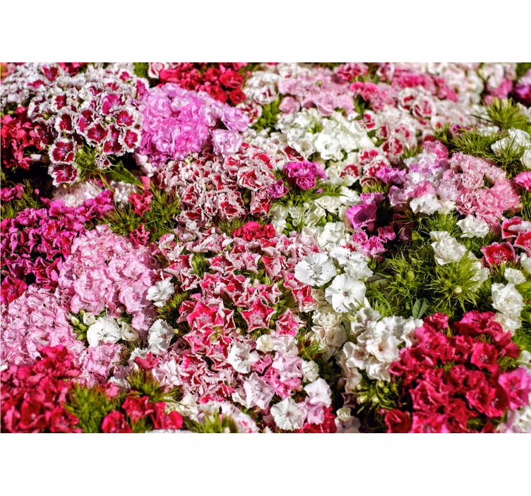Flower wall mural vibrant floral garden - TenStickers