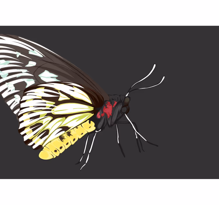 Yellow Butterfly Design flower wall mural - TenStickers