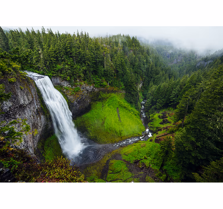 Wall mural nature lush green waterfall - TenStickers