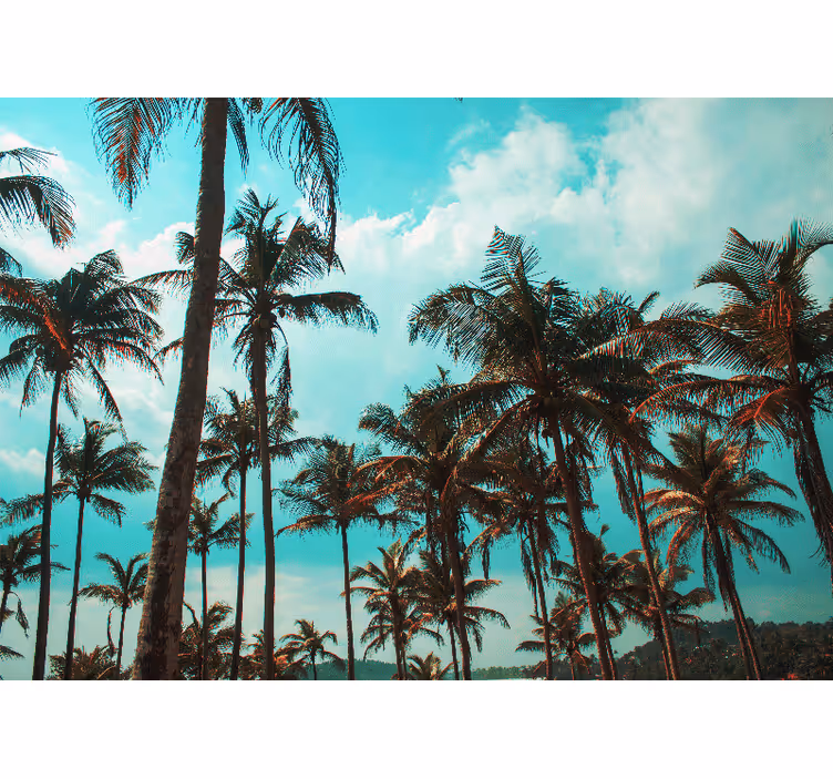 Wall mural nature palm trees paradise - TenStickers