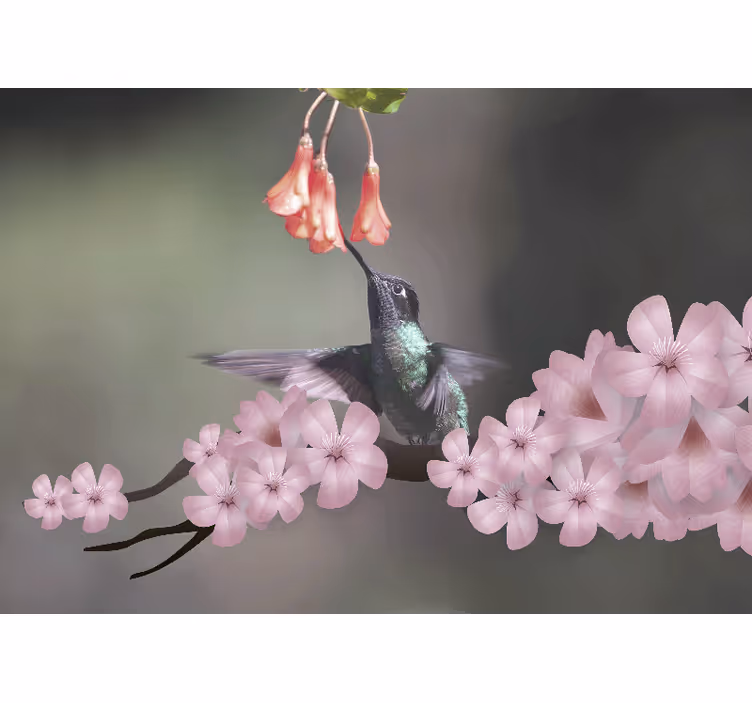 Animals wall mural hummingbird and blooms - TenStickers