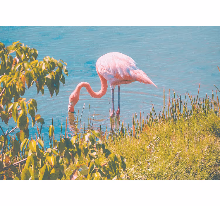 Pink Flamingo Serenity animals wall mural - TenStickers