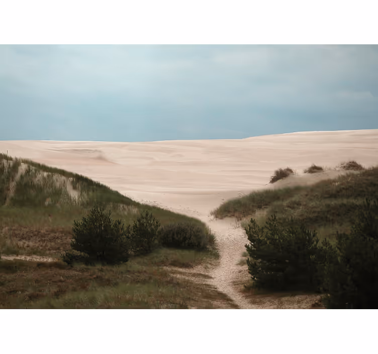 Sandy dune path landscape wall mural - TenStickers