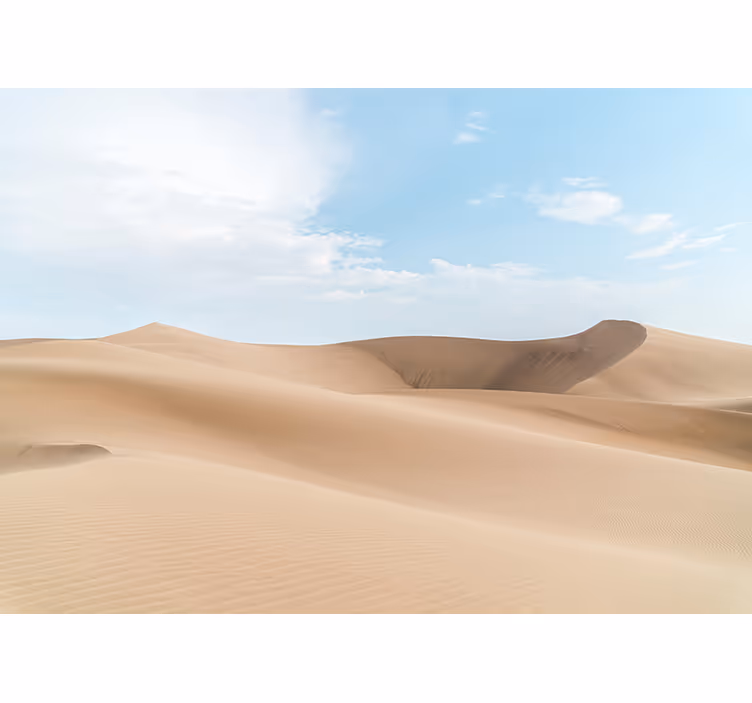 Sunrise in Desert Wall Mural - TenStickers