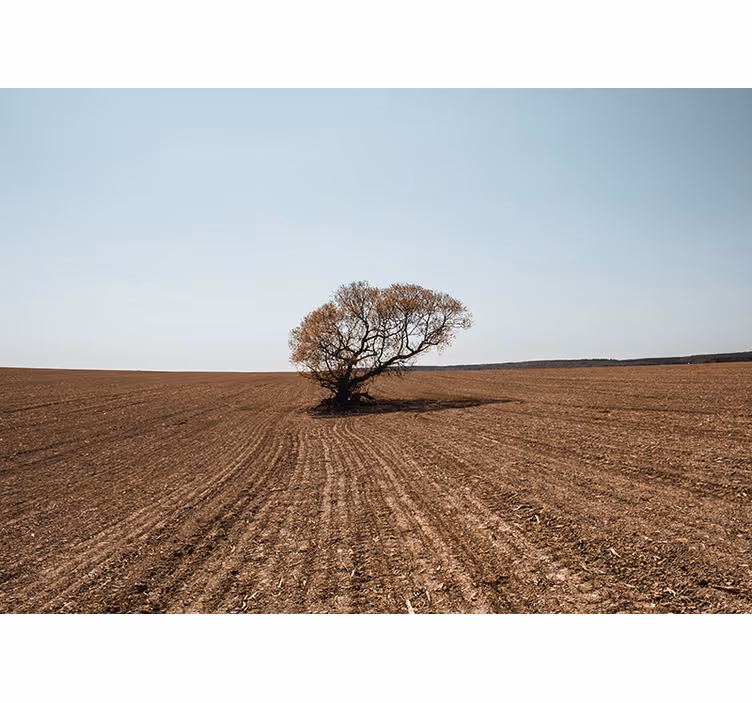 Wall mural nature lonely tree landscape - TenStickers