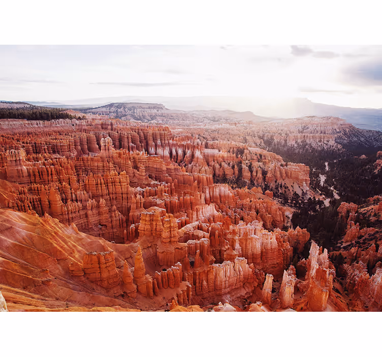 Landscape wall mural bryce canyon vista - TenStickers
