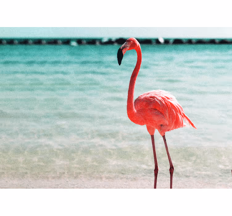 Animals wall mural graceful flamingo pose - TenStickers