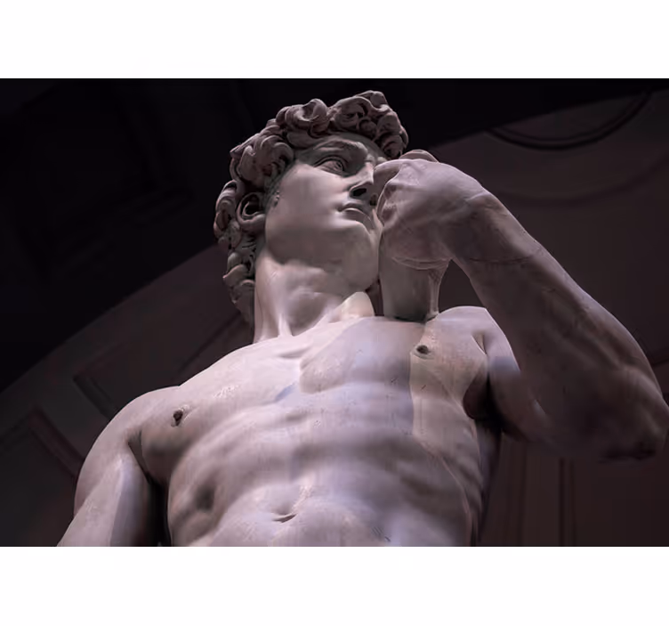 Michelangelo's David Classic Art Wall Mural - TenStickers