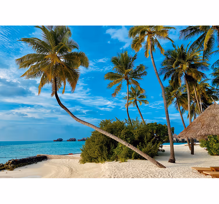 Wall mural nature tropical palm scene - TenStickers