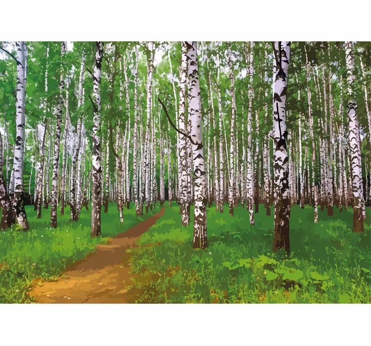 Wall mural nature birch forest trail - TenStickers