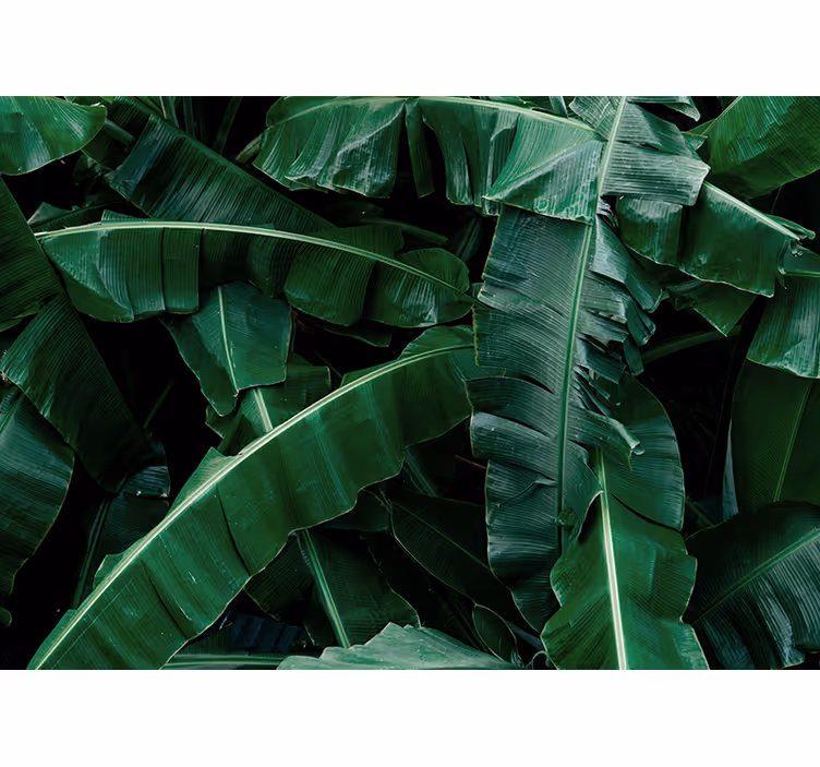 Wall mural nature vibrant green foliage design - TenStickers