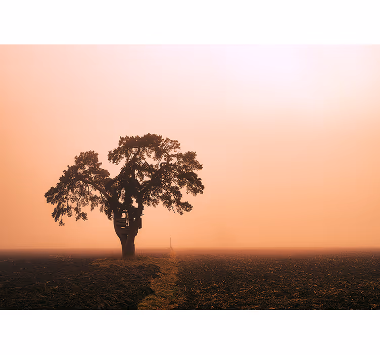 Majestic savannah tree african wall mural - TenStickers