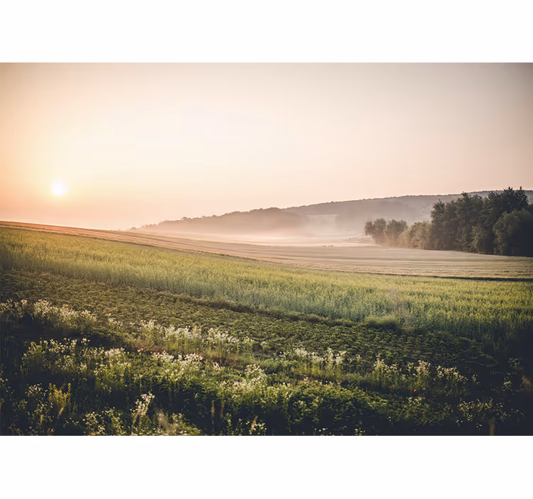 Tranquil green meadows landscape wall mural - TenStickers