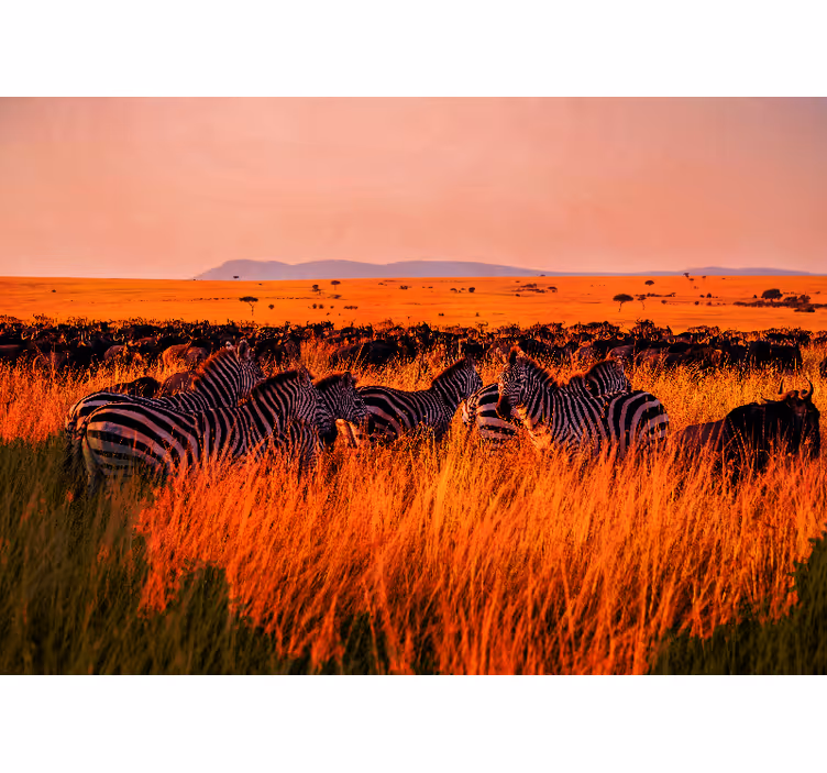 Wall mural nature zebras in serengeti - TenStickers