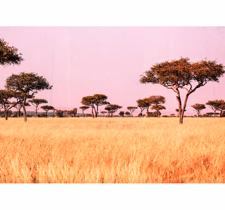 Landscape wall mural serene savanna scene - TenStickers