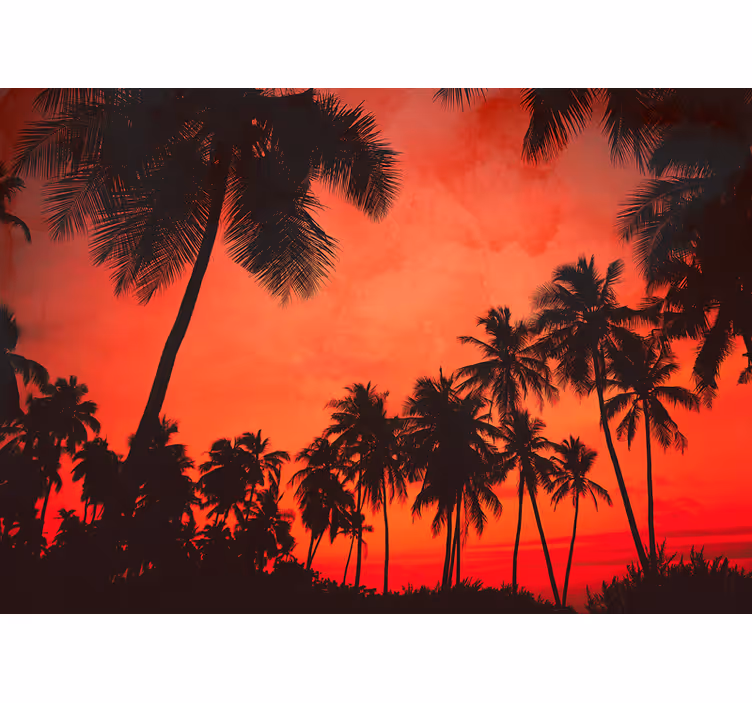 Wall mural nature silhouette palm trees - TenStickers