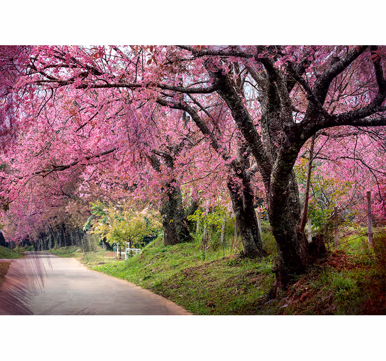 Flower wall mural blossom path - TenStickers