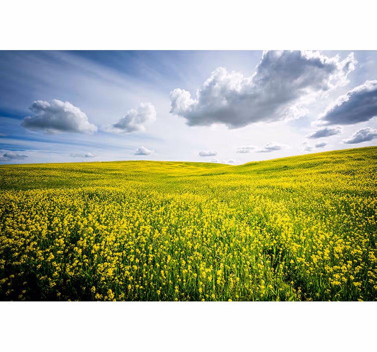 Wall mural nature vast green meadow - TenStickers