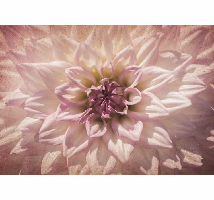 Delicate Pink Blossom flower wall mural - TenStickers