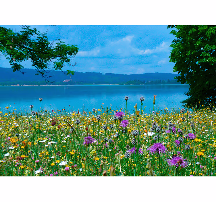 Lush meadow flora flower wall mural - TenStickers