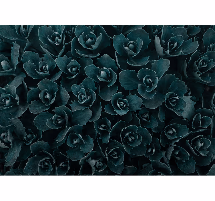 Flower wall mural elegant rose blossom - TenStickers