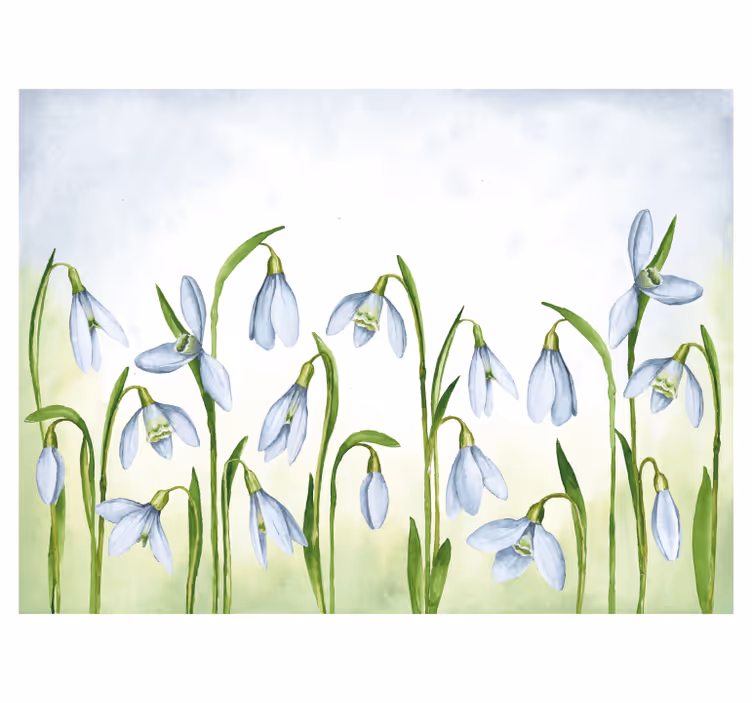Snowdrop flora flower wall mural - TenStickers