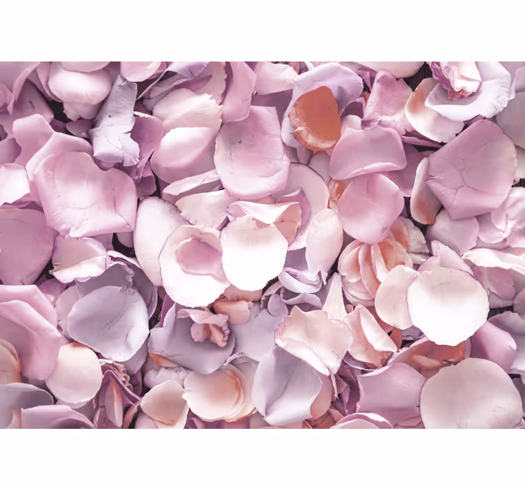Flower wall mural rose petal close-up - TenStickers
