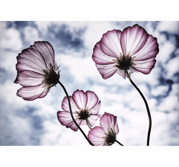 Flower wall mural delicate floral beauty - TenStickers