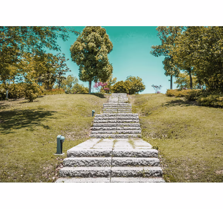 Wall mural nature staircase in the wilderness - TenStickers