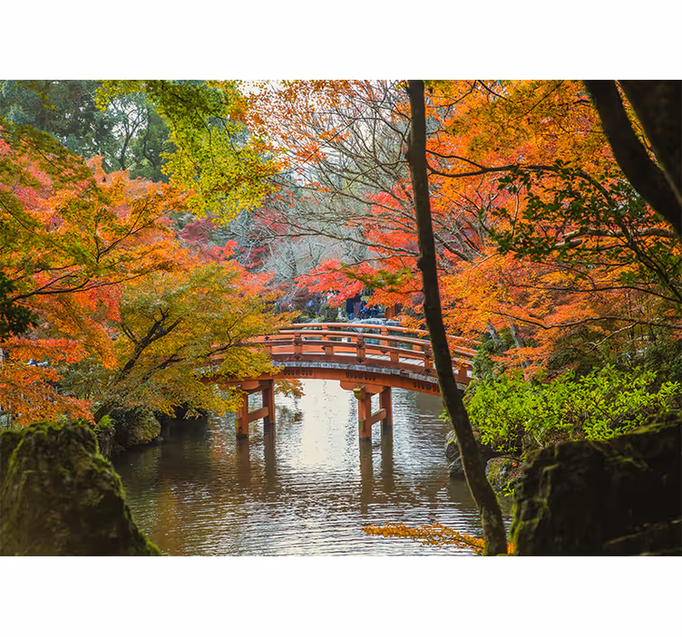 Wall mural nature autumn bridge landscape - TenStickers