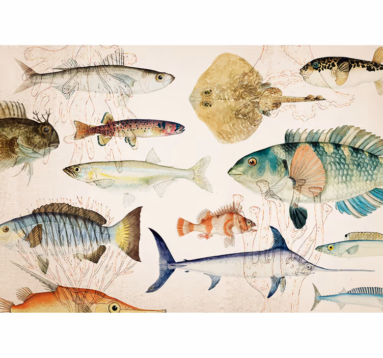 Animals wall mural ocean life collection - TenStickers