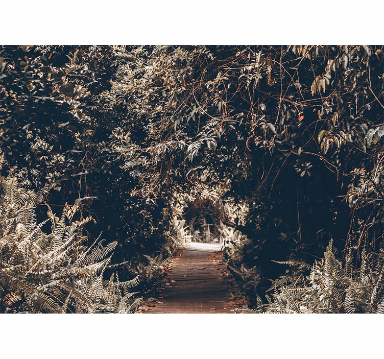 Wall mural nature forest trail path - TenStickers