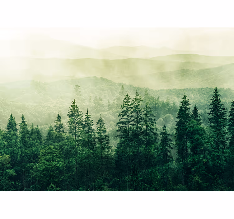 Wall mural nature misty green landscape - TenStickers