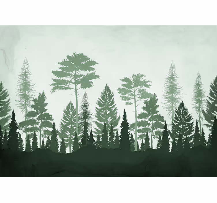 Lush evergreen forest forest wall mural - TenStickers