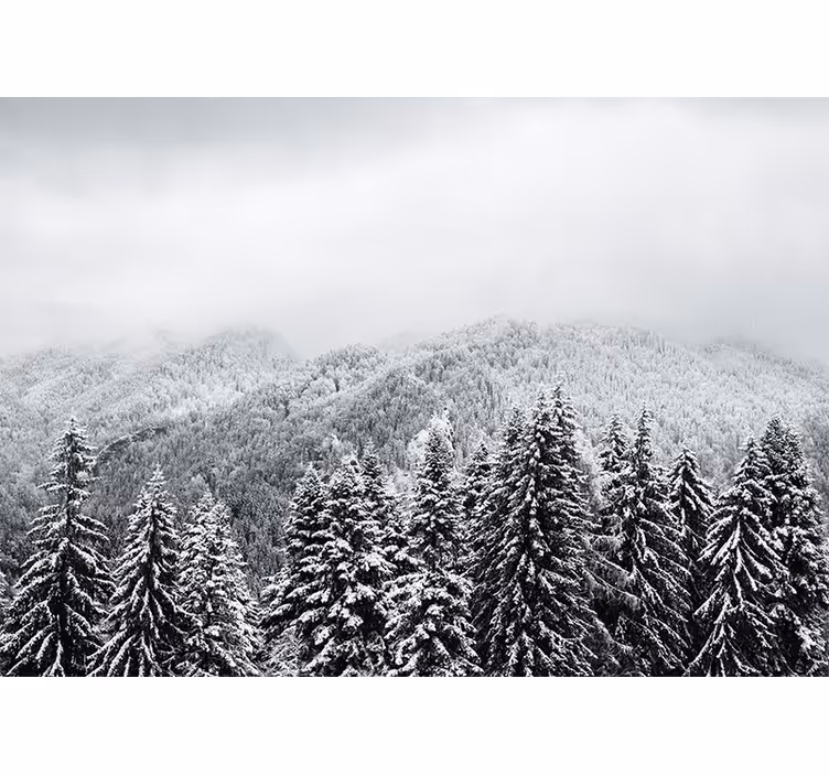 Wall mural nature wintry woodland landscape - TenStickers
