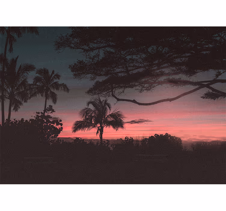 Landscape wall mural tropical sunset silhouette - TenStickers