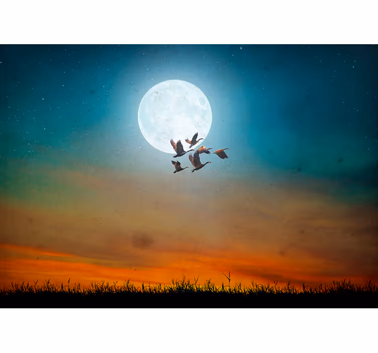 Wall mural nature moonlit sky flock - TenStickers