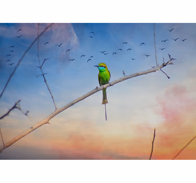 Animals wall mural bird on branch - TenStickers