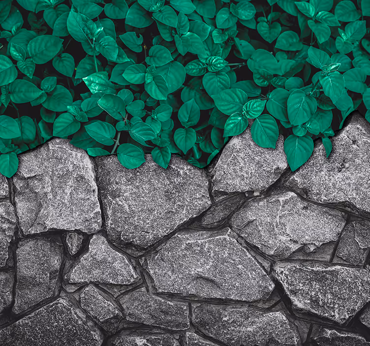 Lush Greenery Contrast wall mural nature - TenStickers