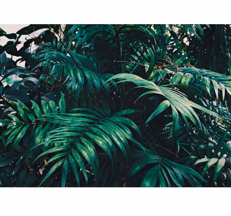 Amazonian tropical plants nature wall mural - TenStickers