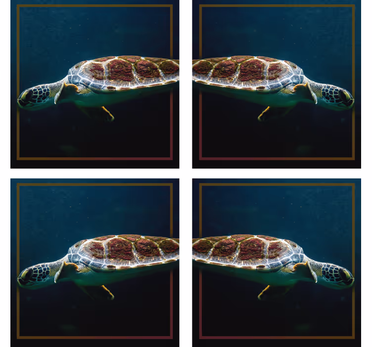 Modern coasters with graceful sea turtle image - TenStickers