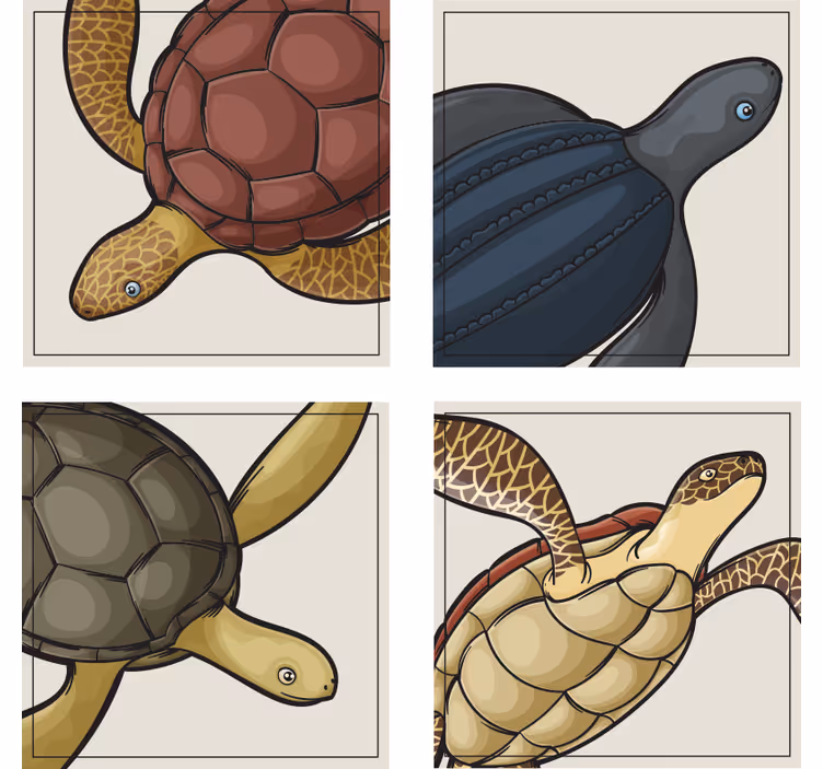 Geek coasters featuring vibrant turtle art - TenStickers