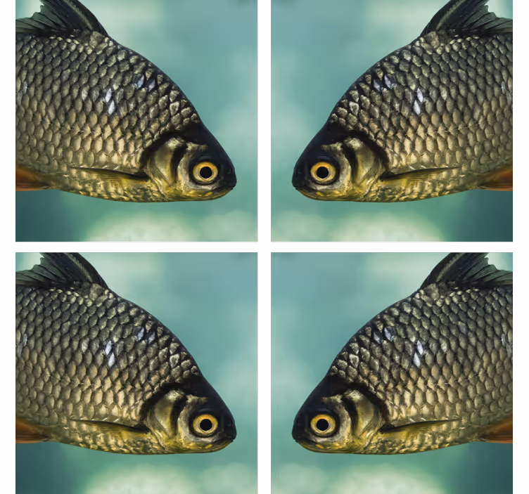 Geek coasters with lifelike fish designs - TenStickers